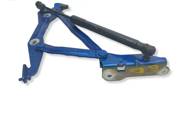 Ford Mustang VI Tailgate/trunk/boot hinge E816K