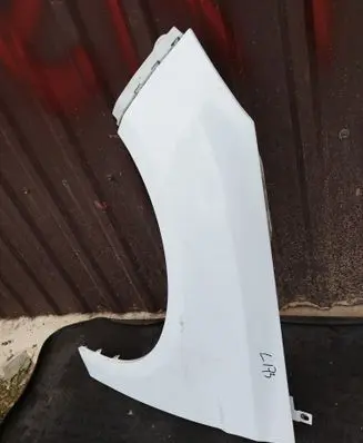 Ford Focus Fender