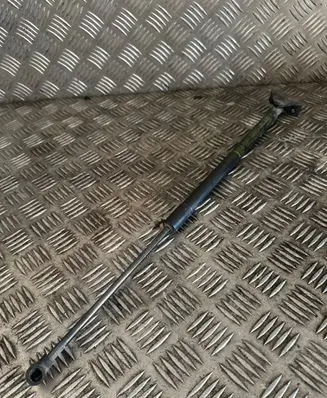Tailgate/trunk strut/damper