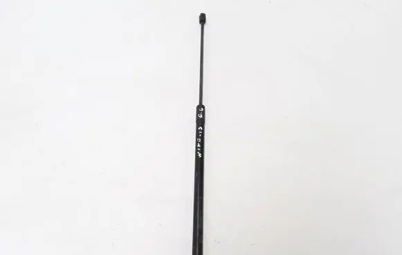 Renault Wind Tailgate strut 904520002r
