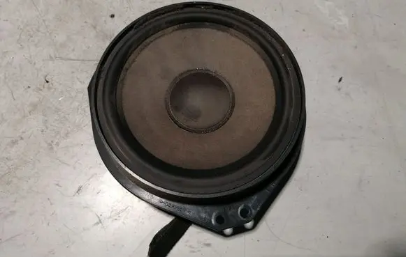 Front door speaker