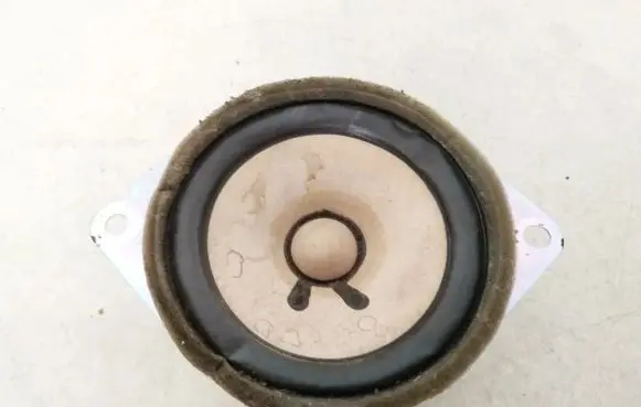Peugeot 107 Front door speaker 861600h010 86160-0h010