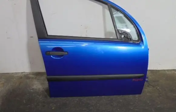 Citroen C3 Front door 