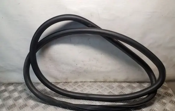 Opel Insignia A Front door rubber seal 