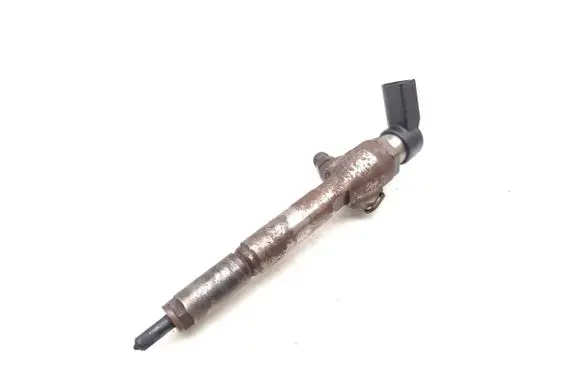 Renault Scenic RX Fuel injector 8200294788 166009445R