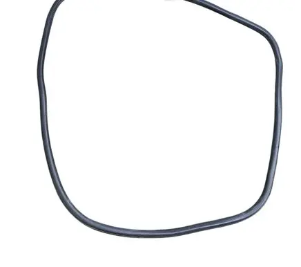 Ford Edge II Front door rubber seal FT4Z5820708B