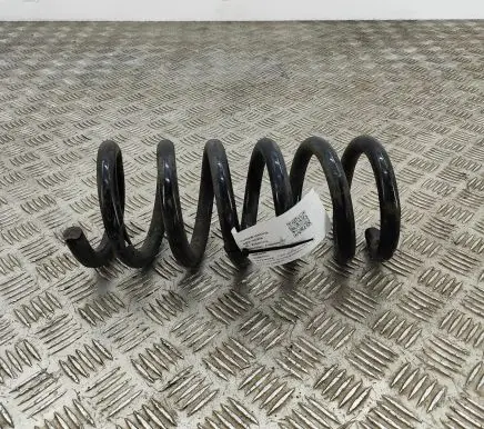Ford Mustang VI Rear coil spring FR3C5560ED