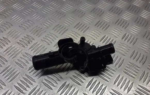 Thermostat/thermostat housing