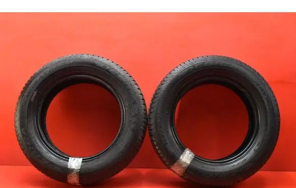 Nissan Pixo R17 C winter tire 4038526046802
