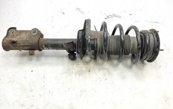 Ford Mustang V Front shock absorber/damper