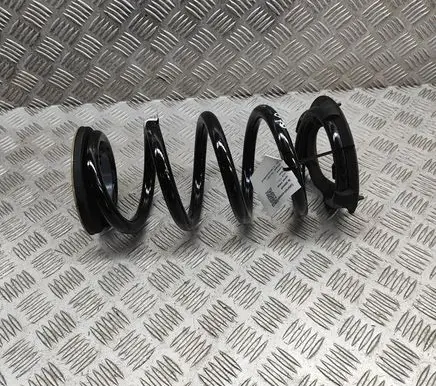 Tesla Model Y Rear coil spring 118847400B
