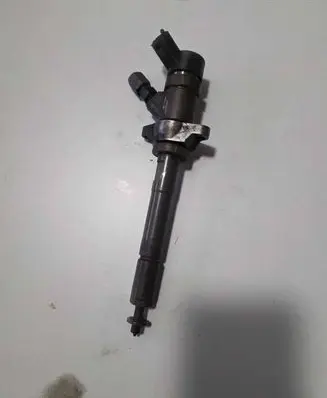 Peugeot 407 Fuel injector 0445110259