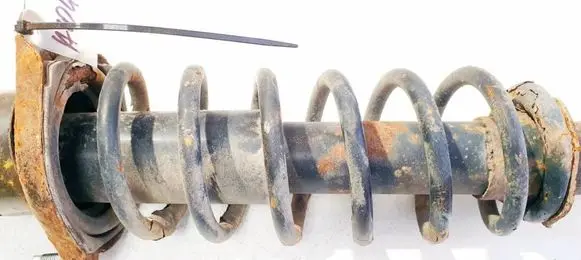 Rear coil spring