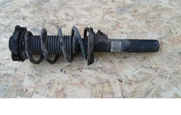 Volkswagen PASSAT B6 Front shock absorber/damper 3C0413031N