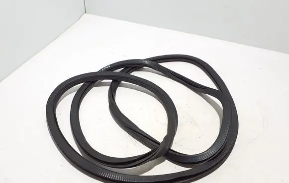 Chrysler Pacifica Rubber seal sliding door (on door) 68313523AB