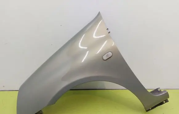 Renault Clio II Fender 8200052379