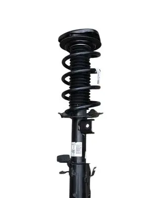 Ford Escape IV Front shock absorber/damper LX6118045NEG