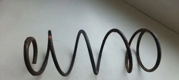 Toyota Land Cruiser (J100) Rear coil spring