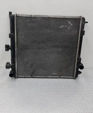Peugeot 207 Coolant radiator 95007T01 870960000 A87P9653026580