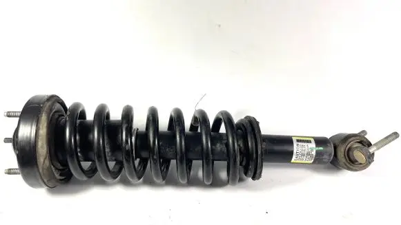 Ford F150 Front shock absorber/damper FL34-18045-BC