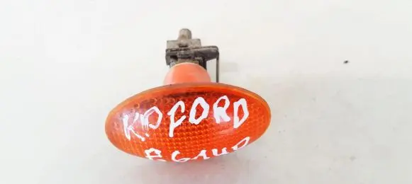 Front fender indicator light