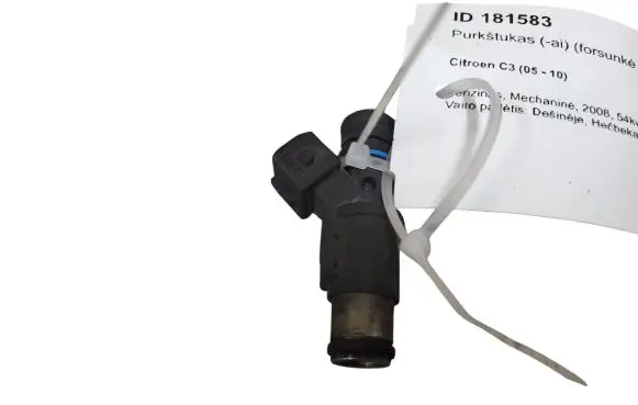 Citroen C3 Fuel injector 01F002A 24531