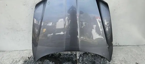 Engine bonnet/hood