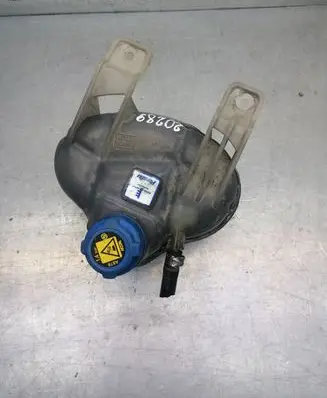 Fiat Punto (199) Coolant expansion tank/reservoir