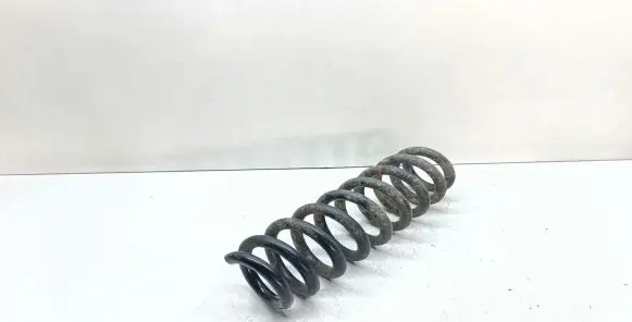 BMW X1 E84 Rear coil spring