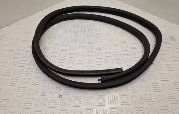 Dacia Duster Front door rubber seal