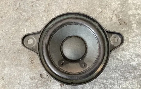 Panel speaker