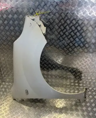 Renault Kangoo III Fender