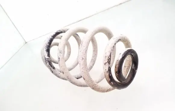 Volkswagen PASSAT B5.5 Rear coil spring