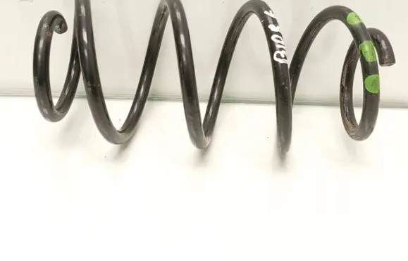 Rear coil spring