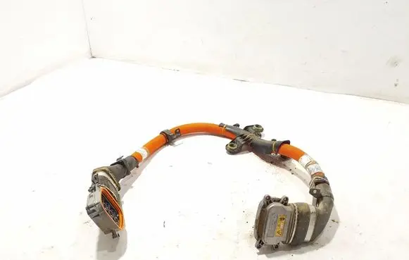 Other wiring loom