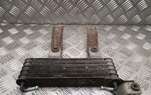 Hyundai Santa Fe Engine oil radiator 2546026510