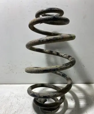 Volkswagen PASSAT B5 Rear coil spring