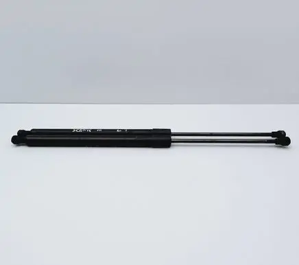 Tailgate/trunk strut/damper