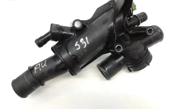 Thermostat/thermostat housing