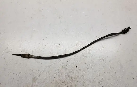 Exhaust gas temperature sensor