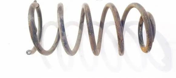 Rear coil spring