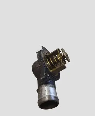 Volkswagen Multivan T5 Thermostat/thermostat housing 070121114