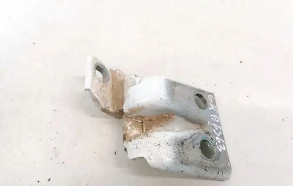 Rear door lower hinge