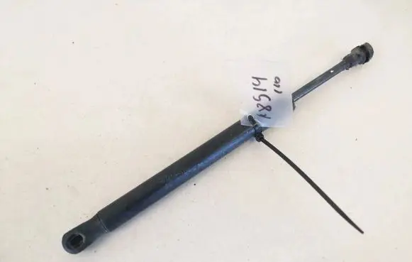Volkswagen Jetta V Tailgate/trunk strut/damper