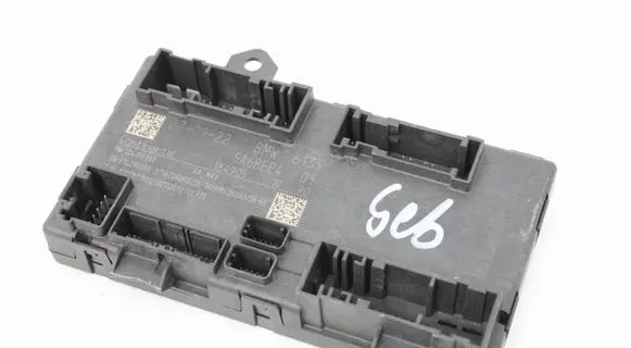 BMW iX Door control unit/module 5A6BEE4