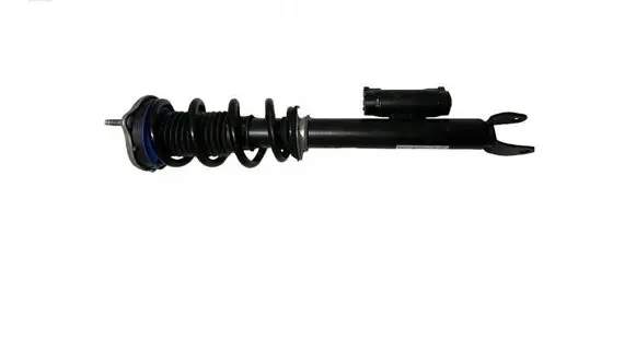 Mercedes-Benz GLS X166 Front shock absorber with coil spring A2053209802