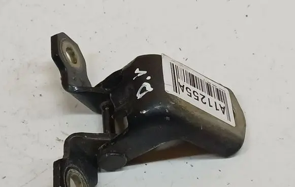 Renault Laguna III Rear door lower hinge 