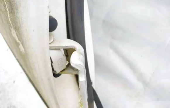 Volvo S40, V40 Rear door lower hinge