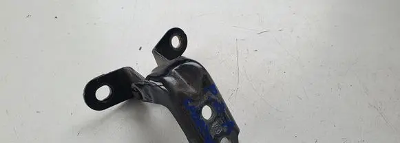 KIA Sportage Front door lower hinge 