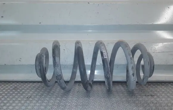 Opel Insignia A Rear coil spring 